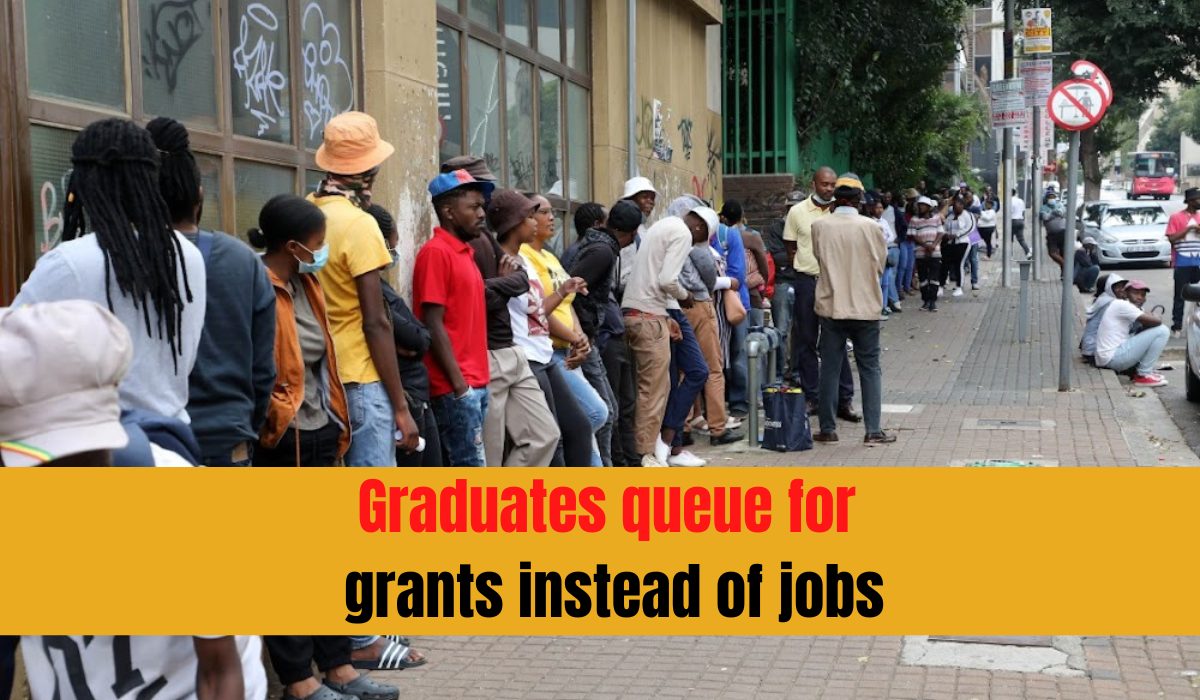 Graduates queue for grants instead of jobs
