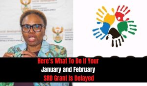 Here’s What To Do If Your January and February SRD Grant Is Delayed