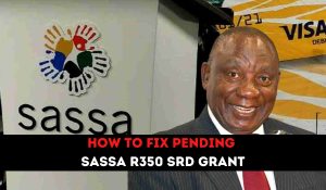 How to fix pending Sassa R350 srd grant