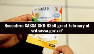Reconfirm SASSA SRD R350 grant February at srd.sassa.gov.za?