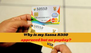 Why is my Sassa R350 approved but no payday?