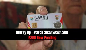 Hurray Up ! March 2023 SASSA SRD R350 Now Pending