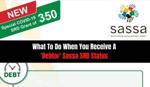 What To Do When You Receive A 'Debtor' Sassa SRD Status