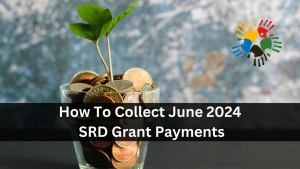 How To Collect June 2024 SRD Grant Payments